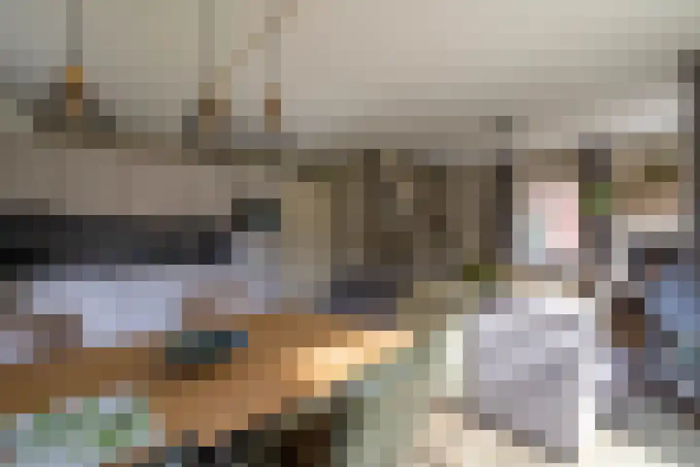de Vers 217 Overloon thumbnail 32