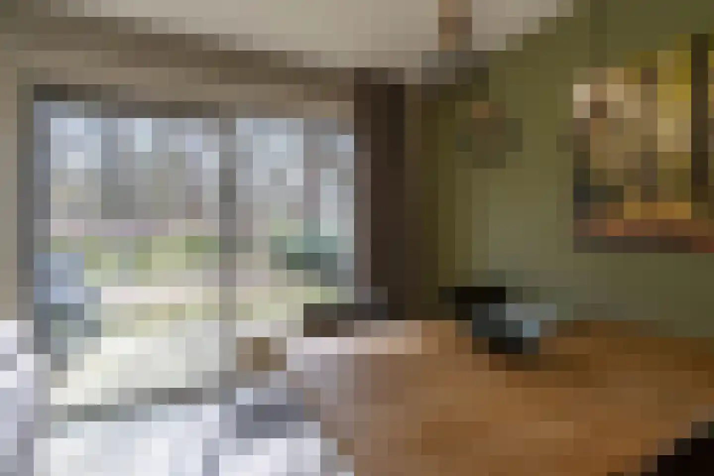 de Vers 217 Overloon thumbnail 31