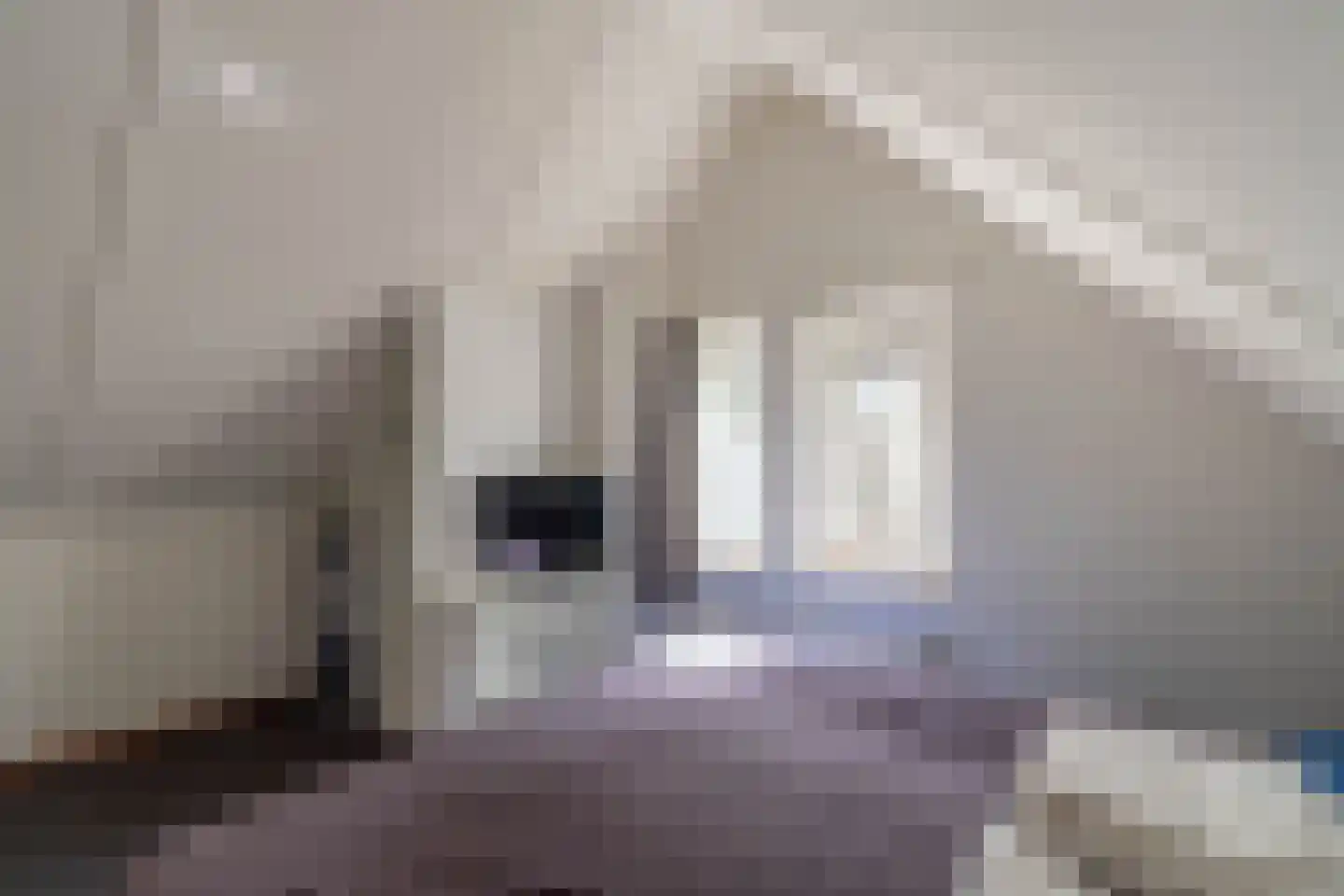 de Vers 217 Overloon thumbnail 35