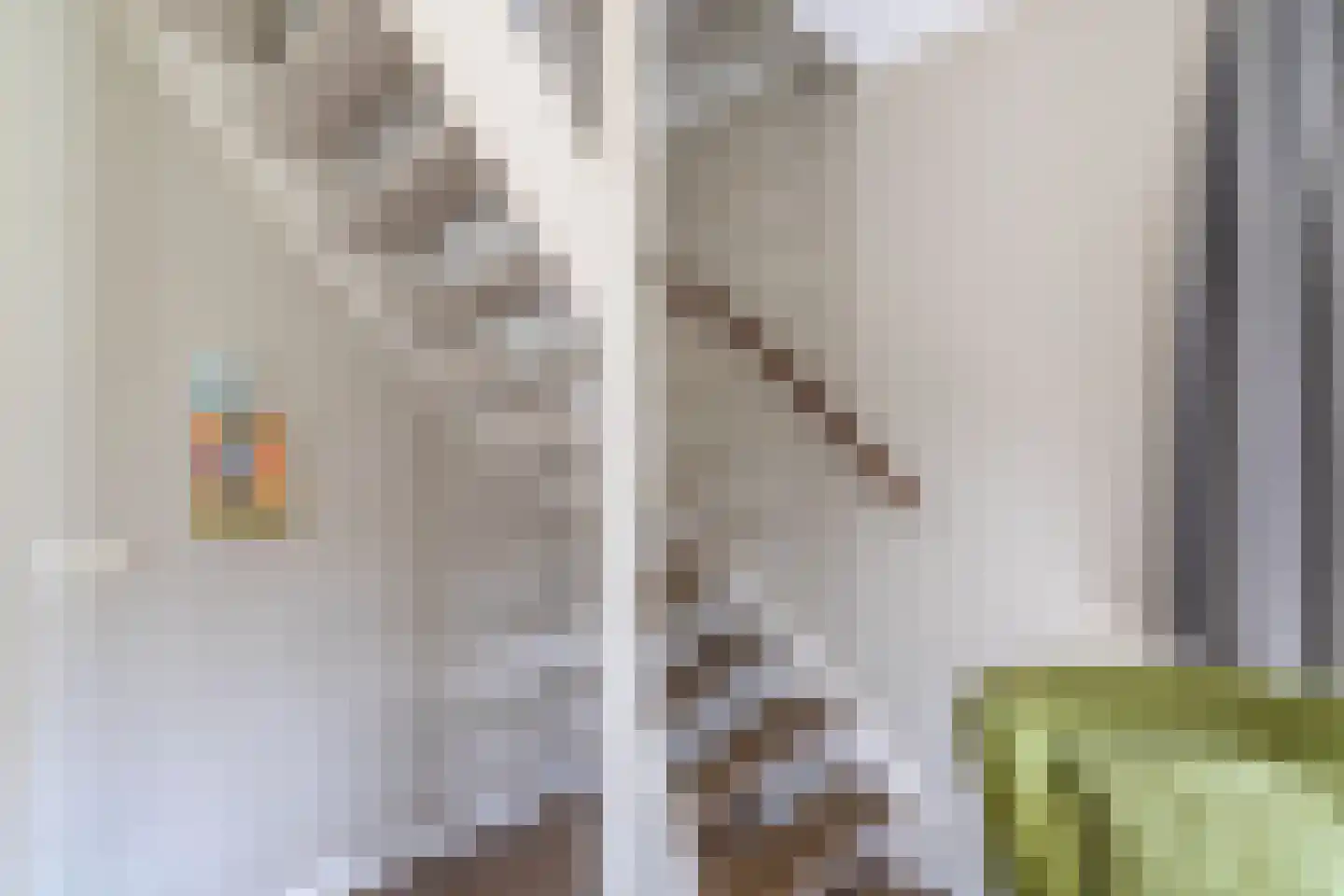 de Vers 217 Overloon thumbnail 34