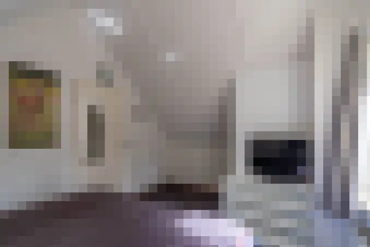 de Vers 217 Overloon thumbnail 37