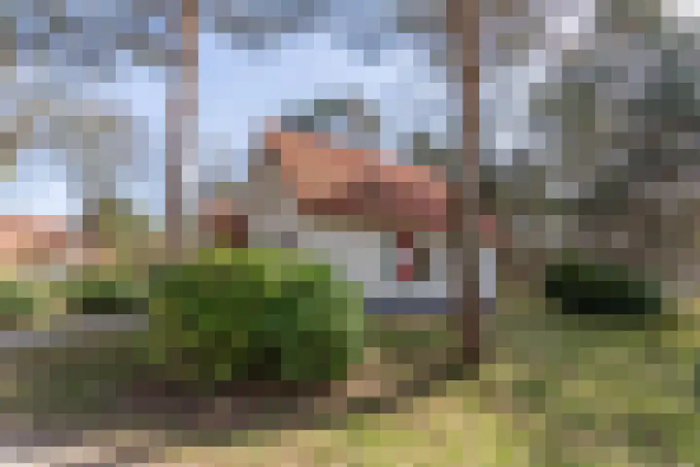 de Vers 217 Overloon thumbnail 4