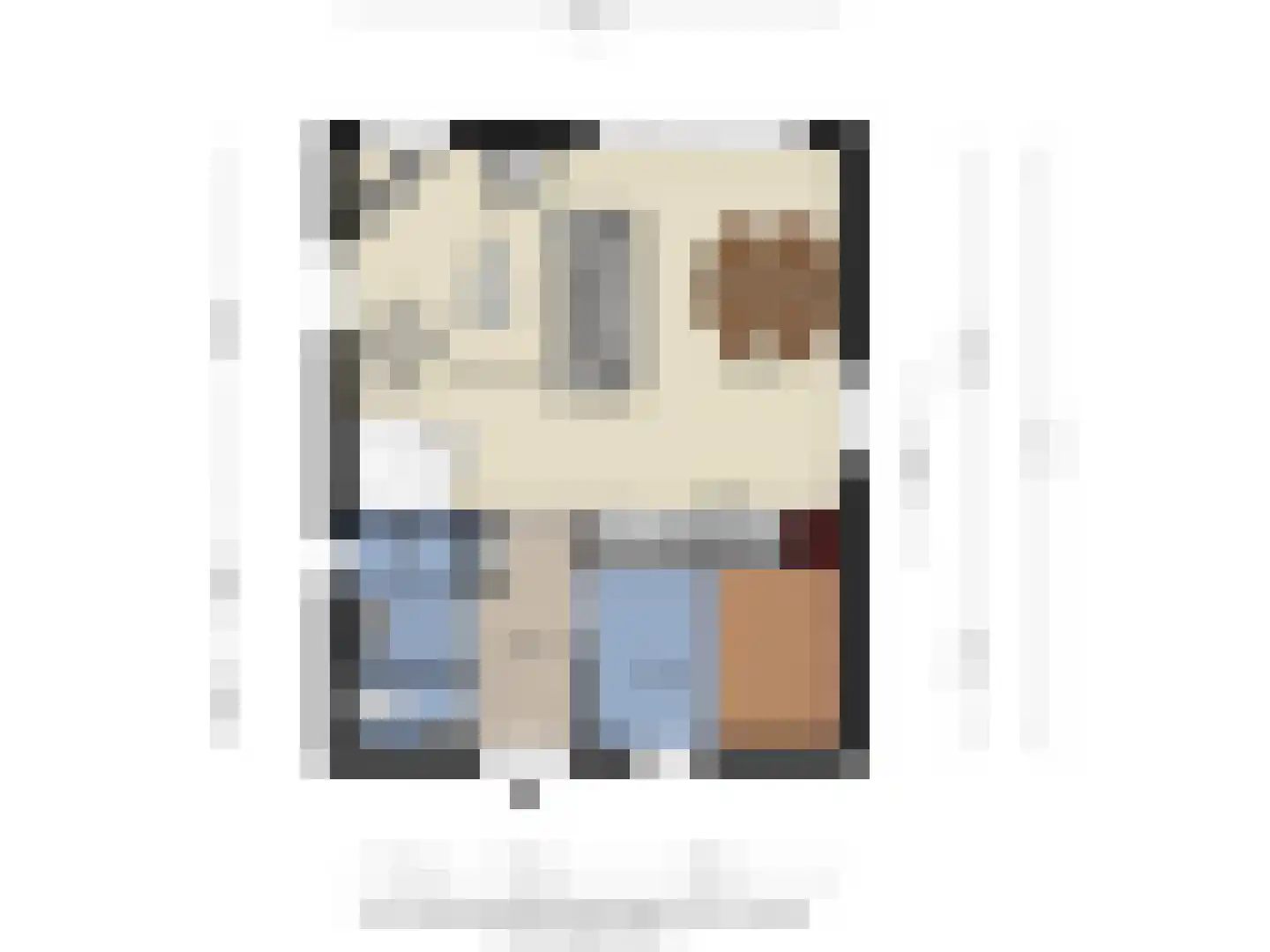de Vers 217 Overloon thumbnail 41