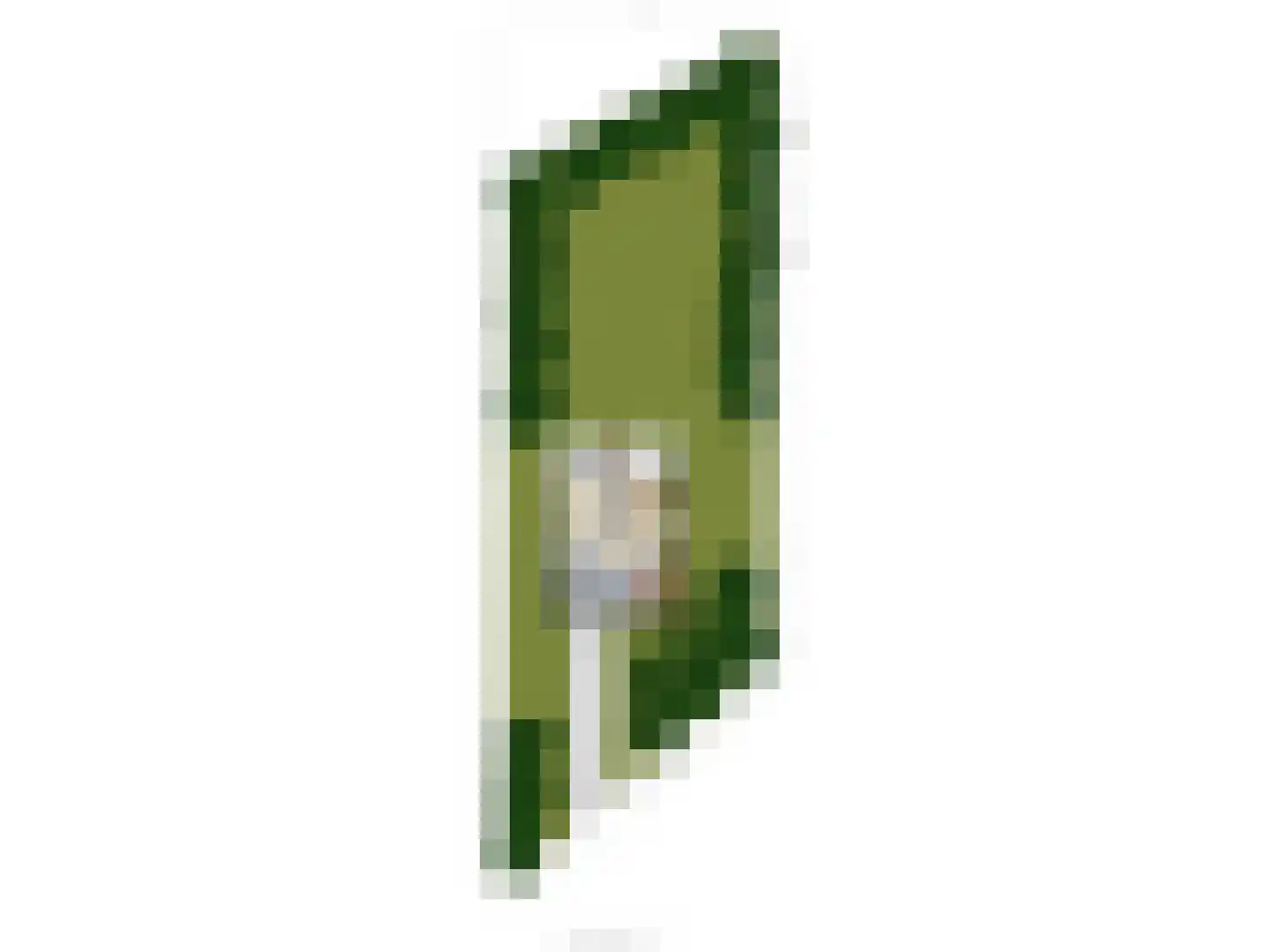 de Vers 217 Overloon thumbnail 43