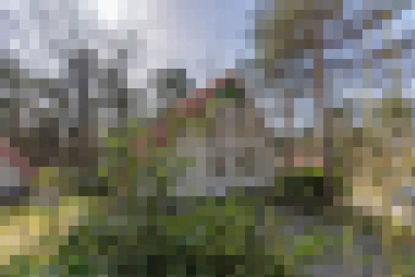 de Vers 217 Overloon thumbnail 5