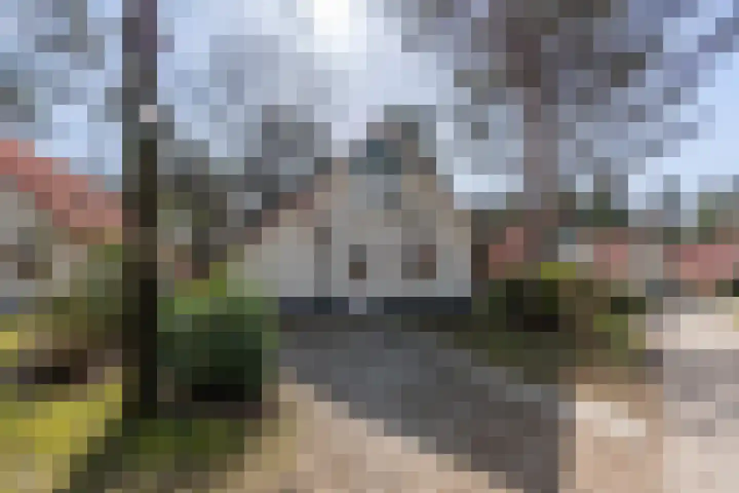 de Vers 217 Overloon thumbnail 4