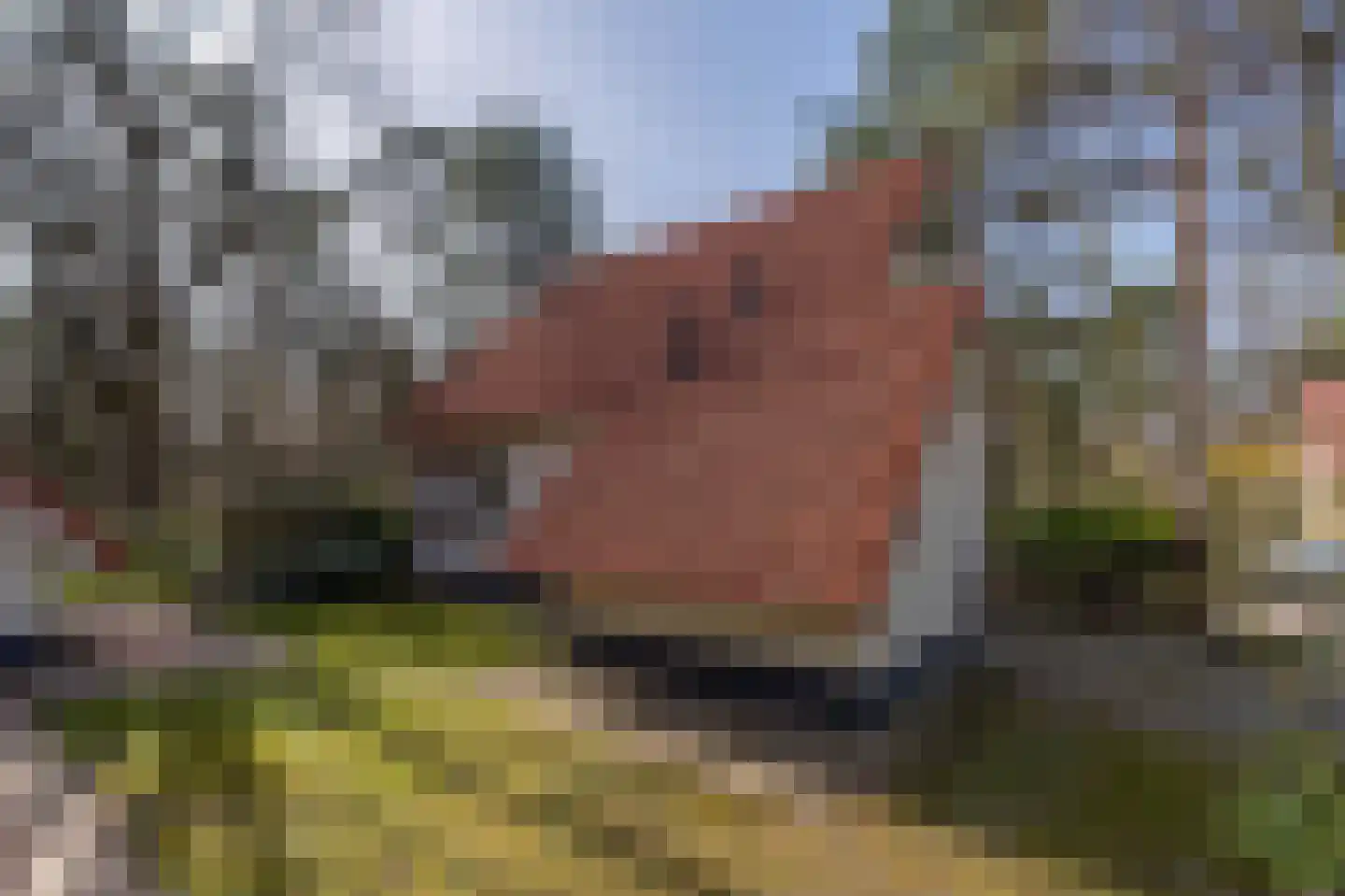 de Vers 217 Overloon thumbnail 7