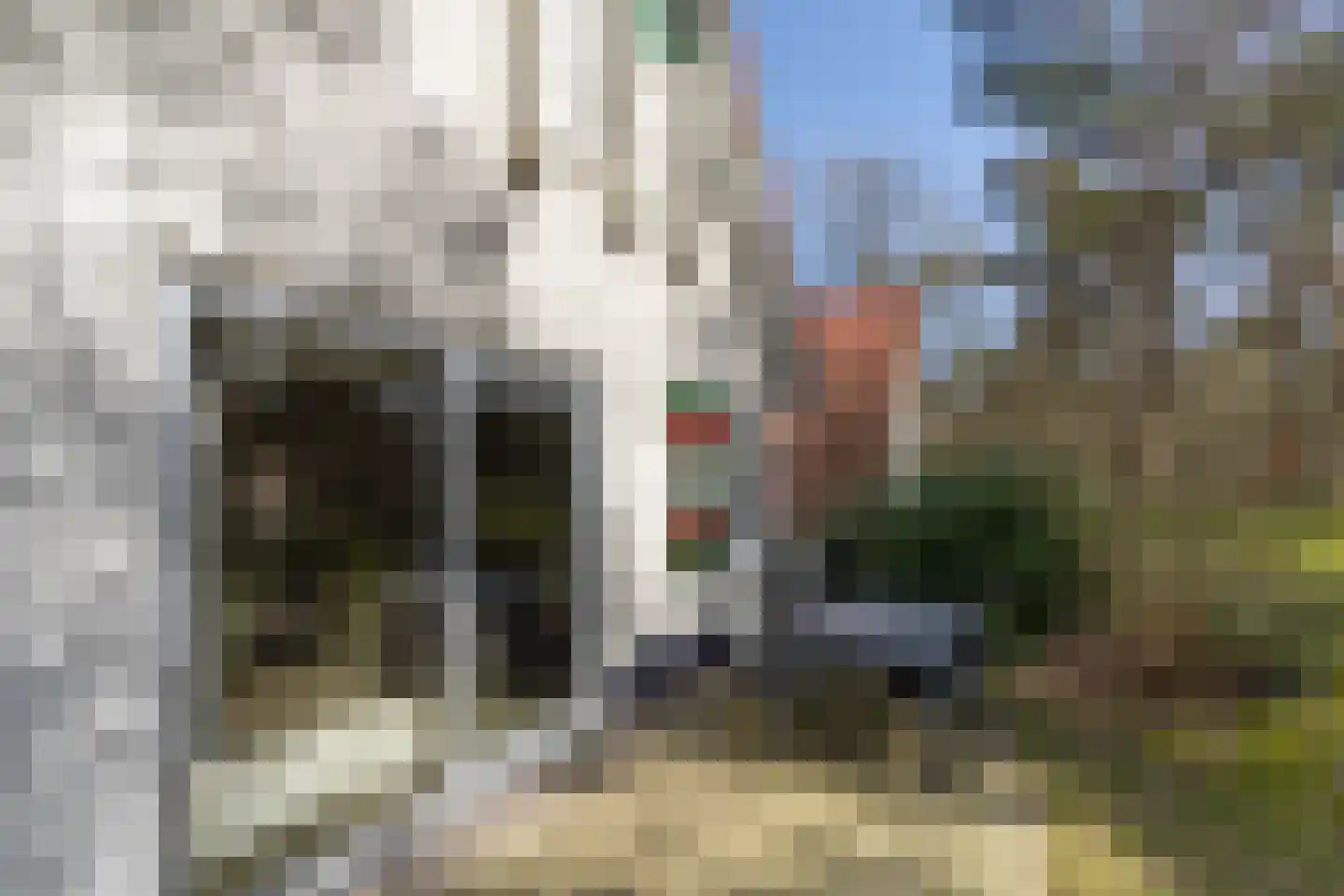 de Vers 217 Overloon thumbnail 9