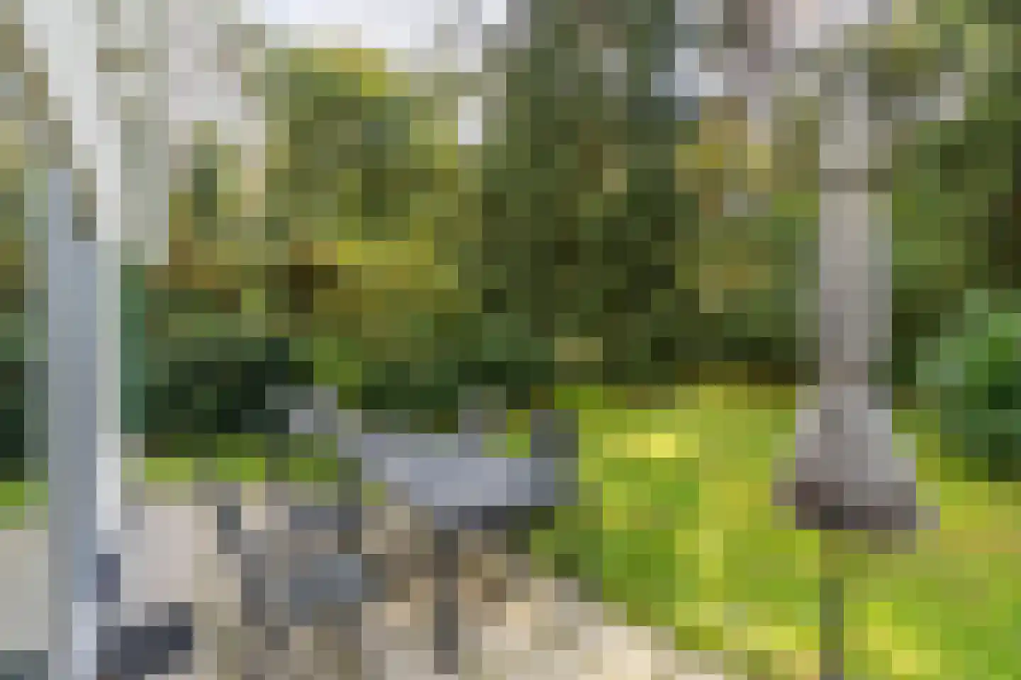 de Vers 223 Overloon thumbnail 10
