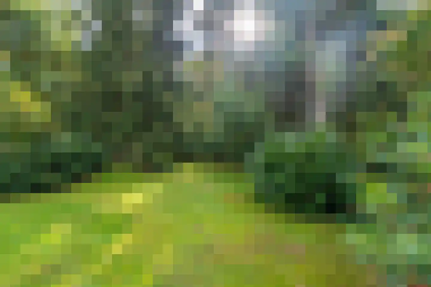 de Vers 223 Overloon thumbnail 11