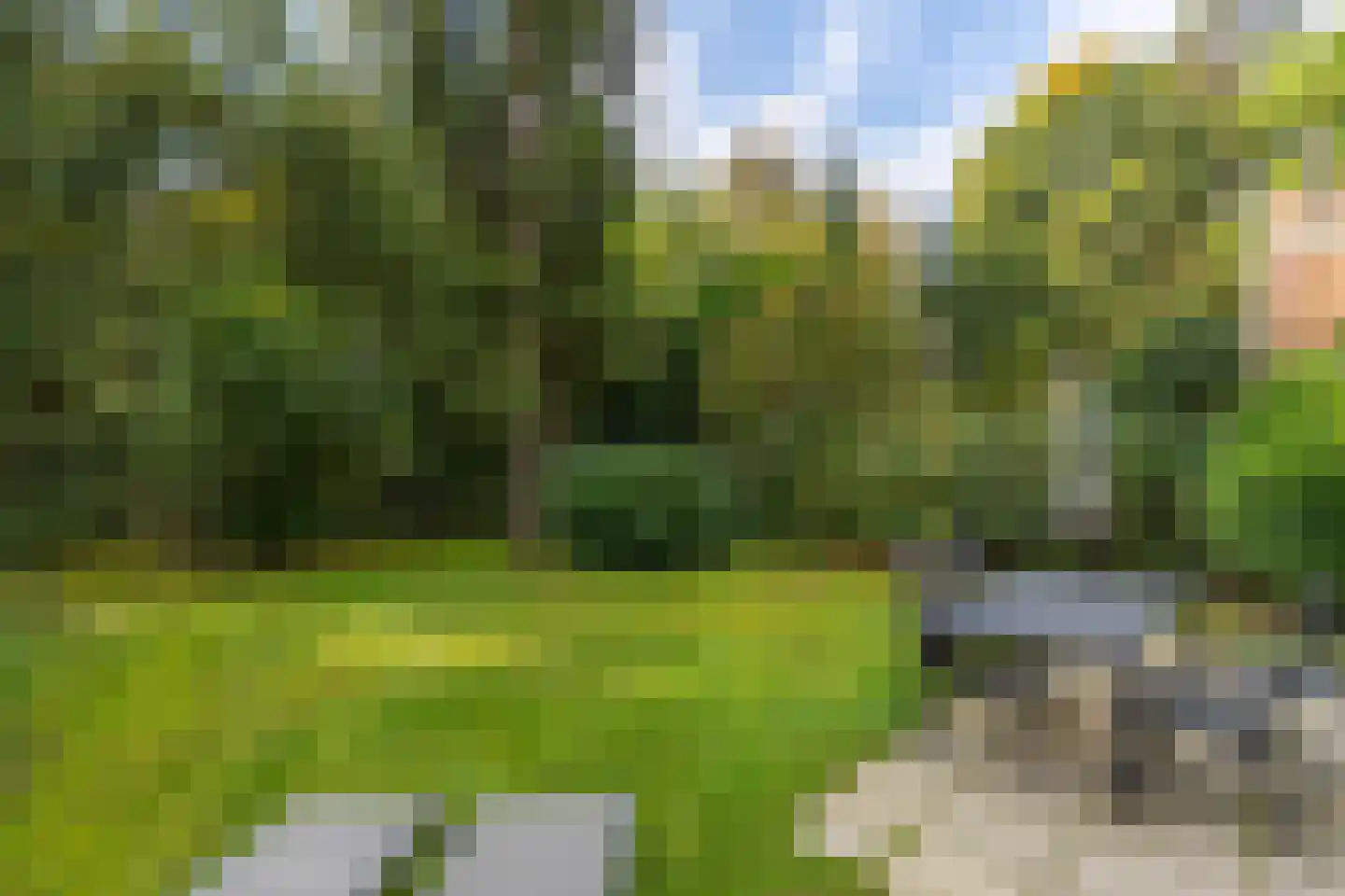 de Vers 223 Overloon thumbnail 13