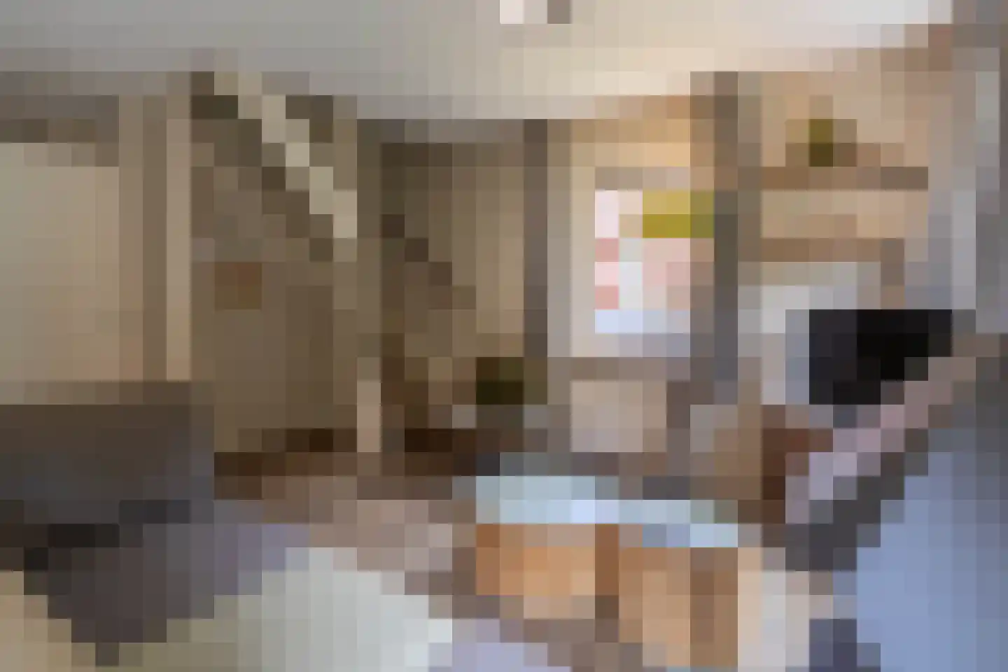 de Vers 223 Overloon thumbnail 25