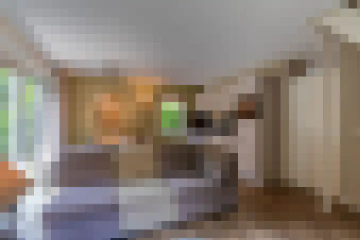 de Vers 223 Overloon thumbnail 27