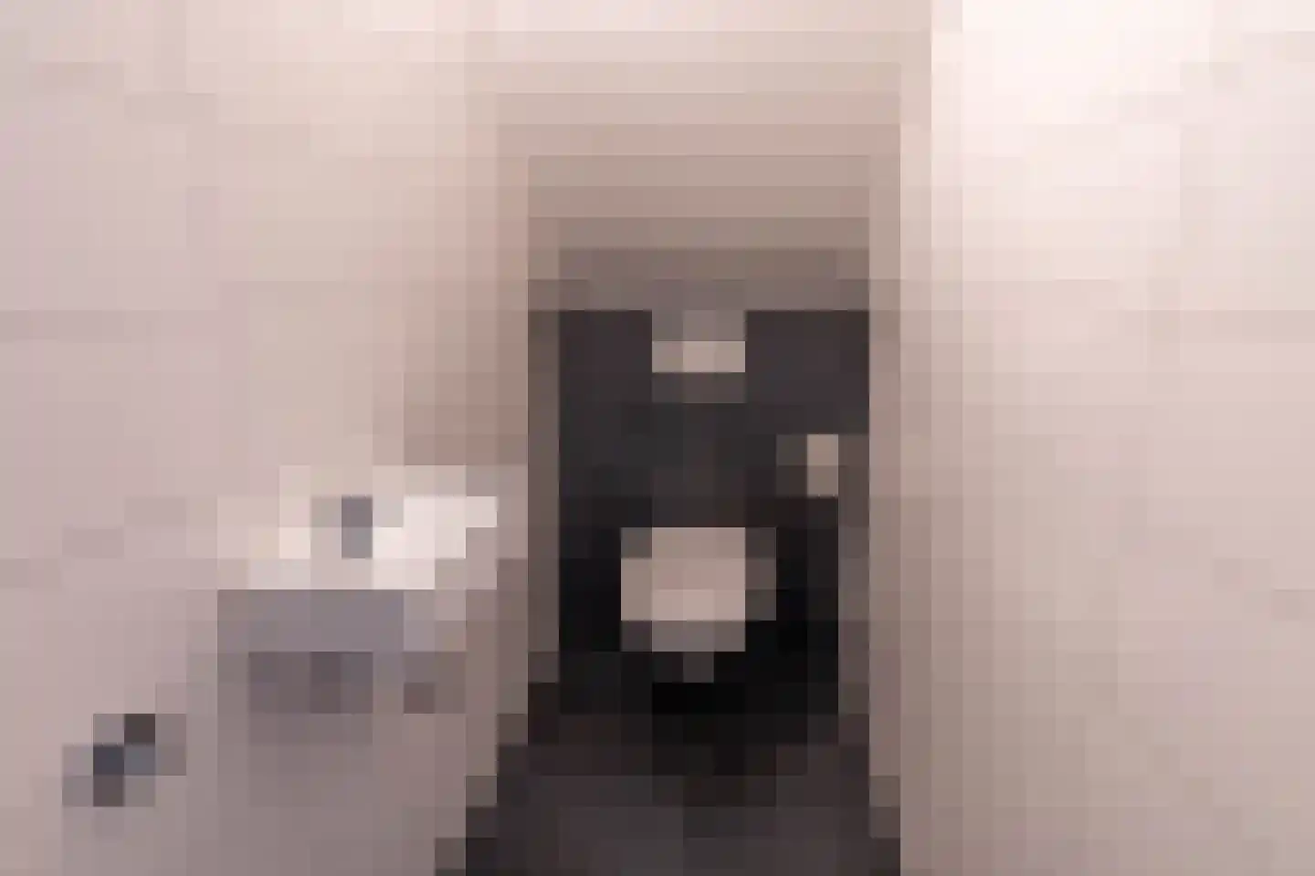 de Vers 223 Overloon thumbnail 31