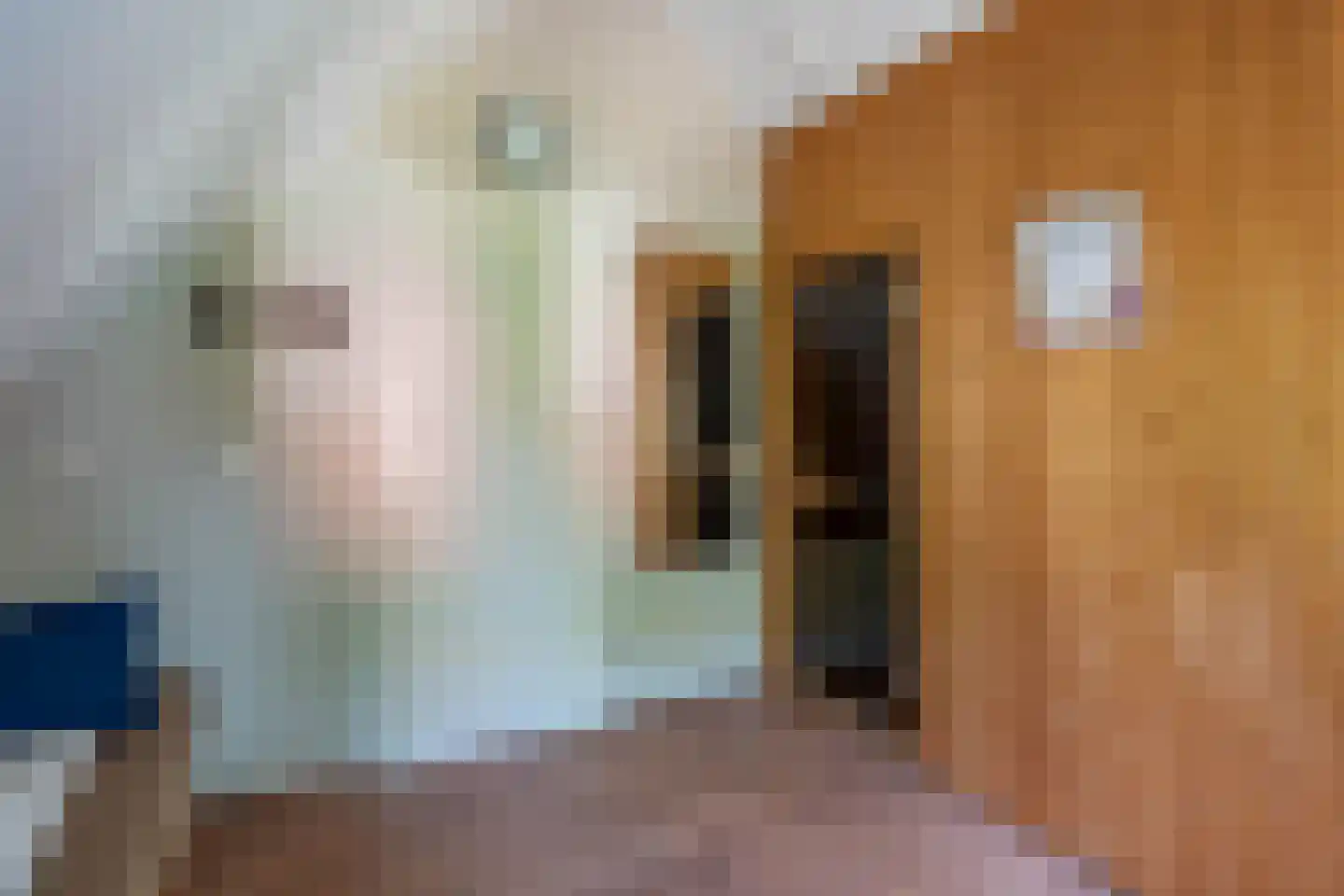 de Vers 223 Overloon thumbnail 33