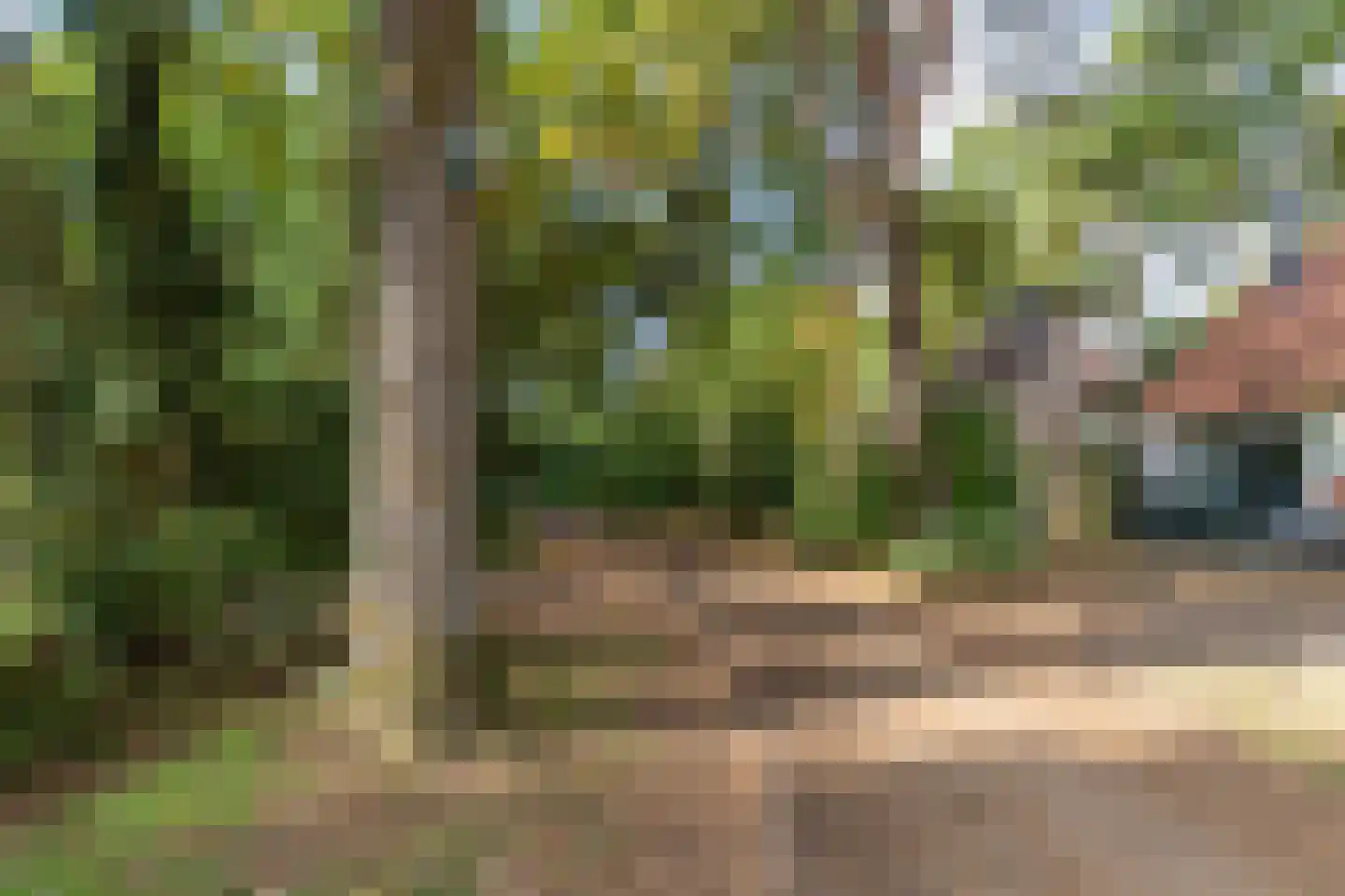 de Vers 223 Overloon thumbnail 4