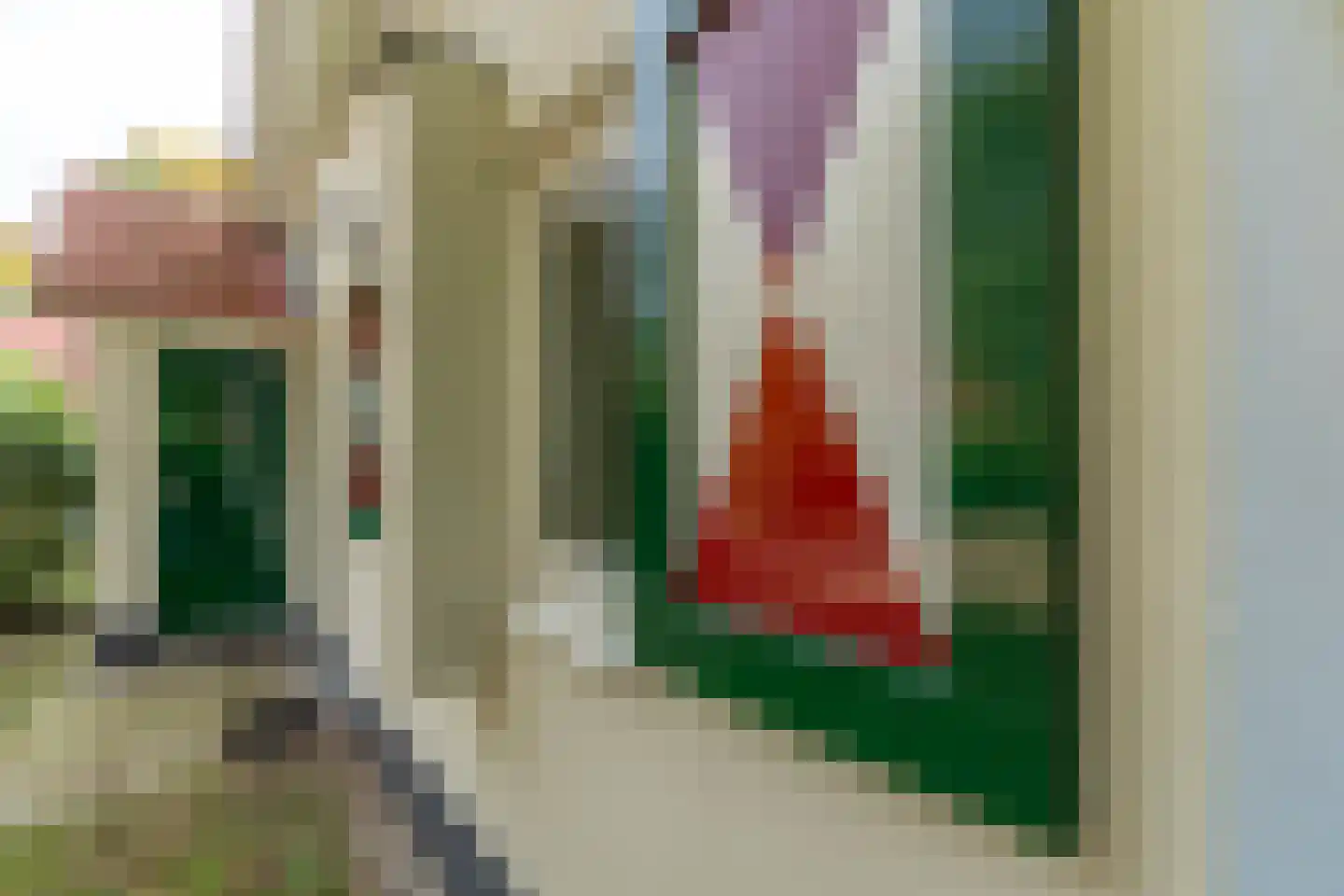 de Vers 223 Overloon thumbnail 8