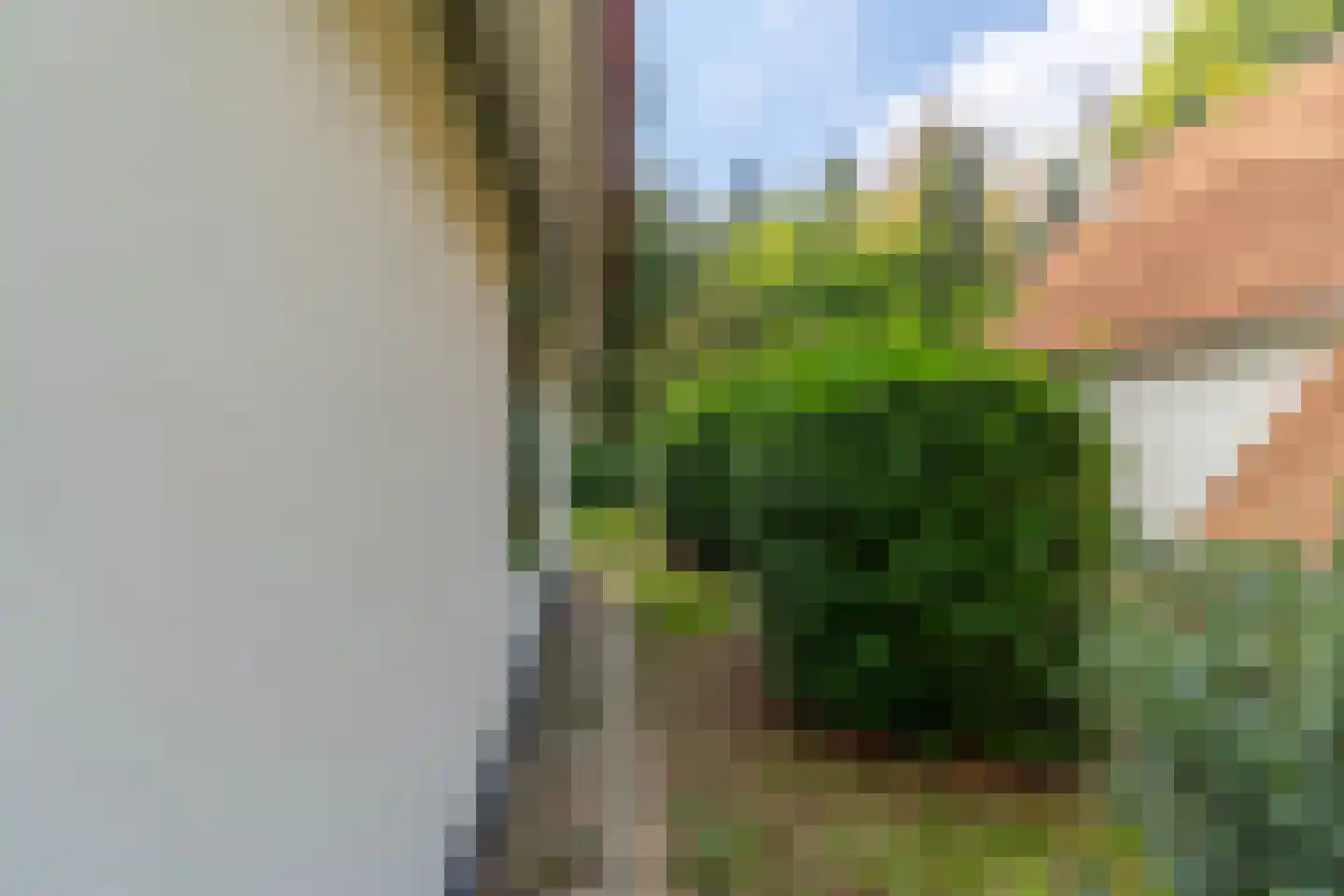 de Vers 223 Overloon thumbnail 9