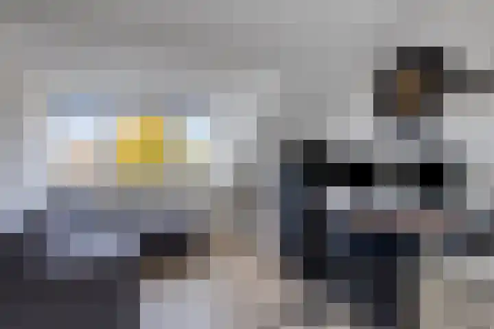 de Ververt 1003 Wijchen thumbnail 25