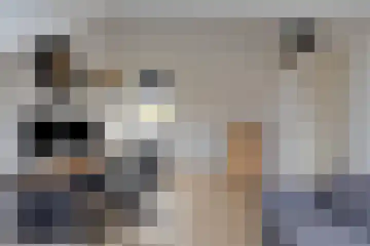 de Ververt 1003 Wijchen thumbnail 26