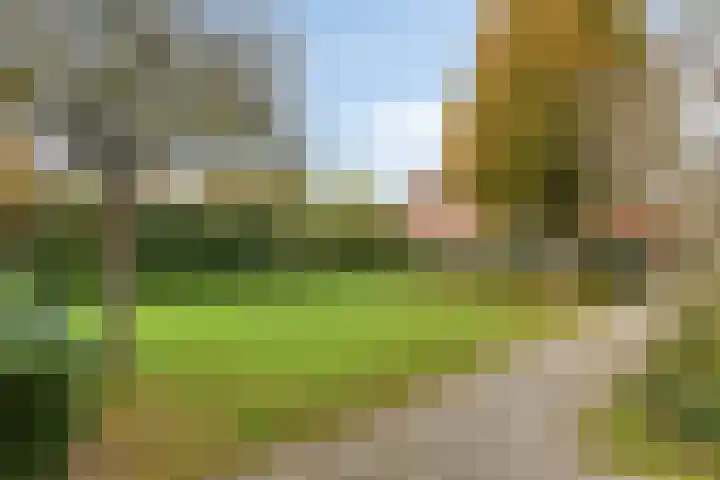 de Ververt 1003 Wijchen thumbnail 32