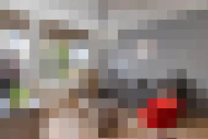 de Ververt 1003 Wijchen thumbnail 5