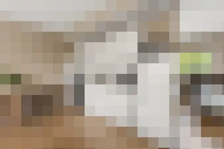 de Ververt 1050 Wijchen thumbnail 10