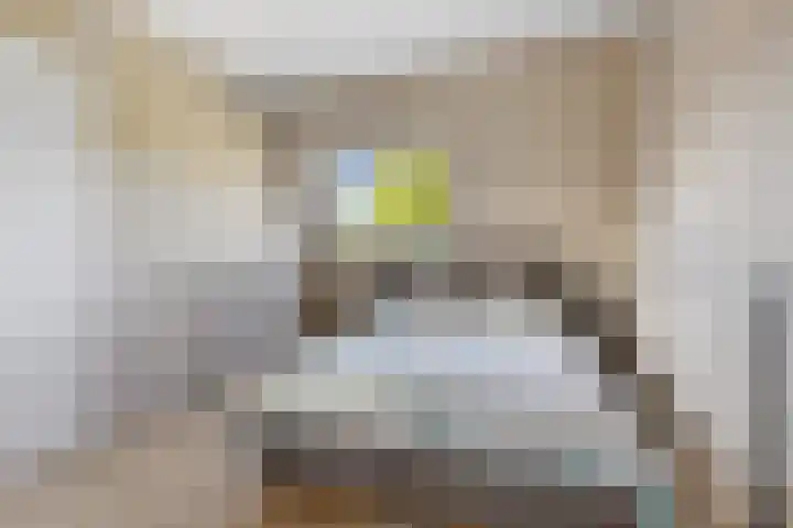 de Ververt 1050 Wijchen thumbnail 12