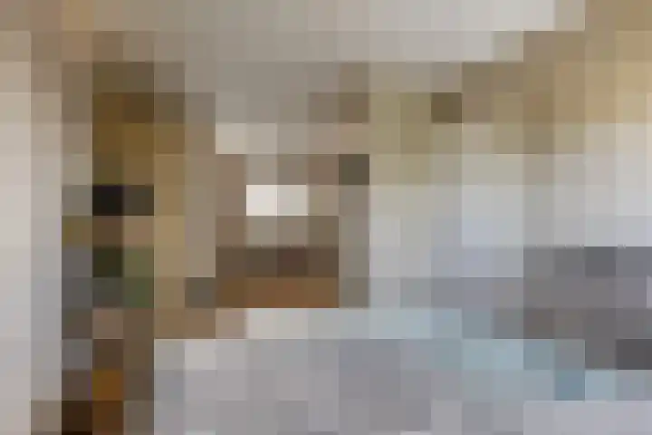 de Ververt 1050 Wijchen thumbnail 13