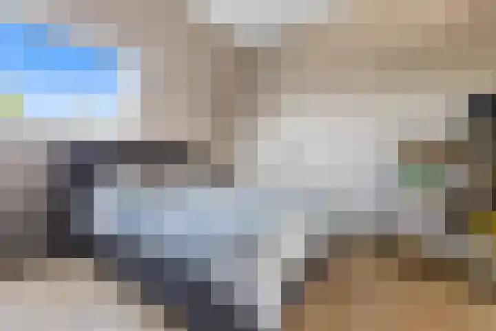 de Ververt 1050 Wijchen thumbnail 14