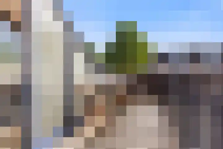 de Ververt 1050 Wijchen thumbnail 18