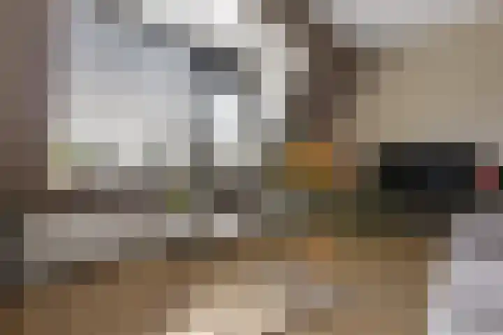 de Ververt 1050 Wijchen thumbnail 7