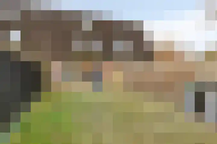 de Ververt 1105 Wijchen thumbnail 16