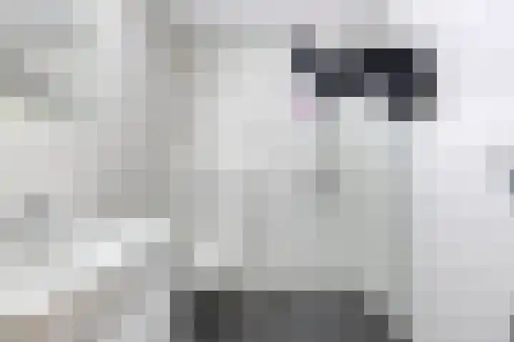 de Ververt 1105 Wijchen thumbnail 29