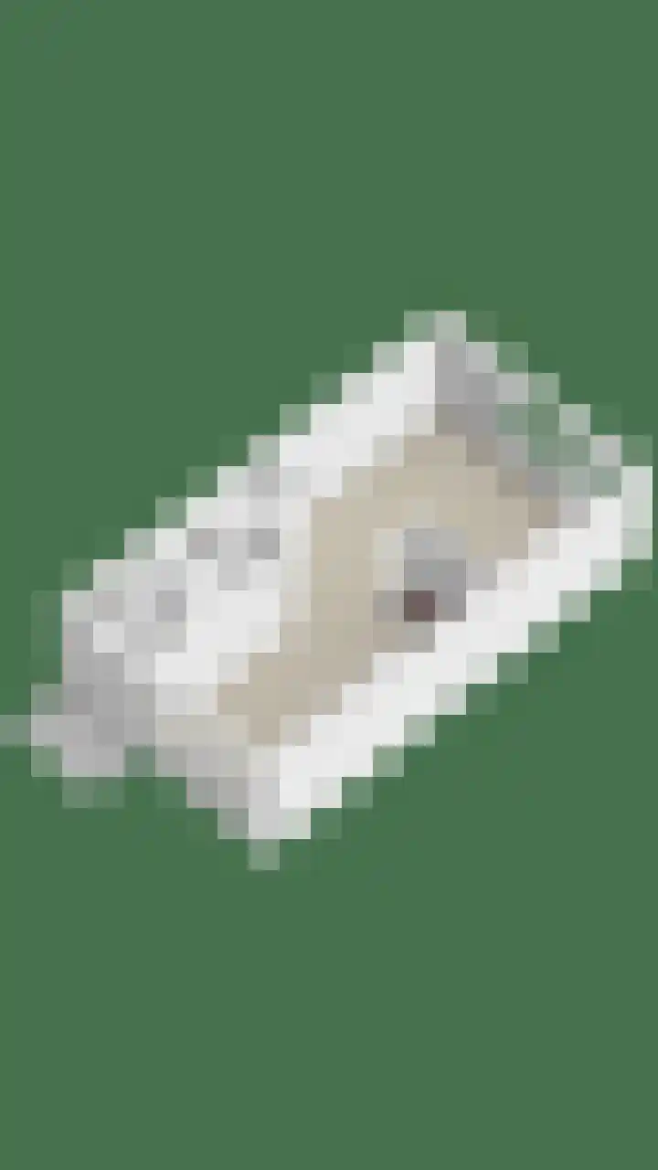 de Ververt 1105 Wijchen thumbnail 40