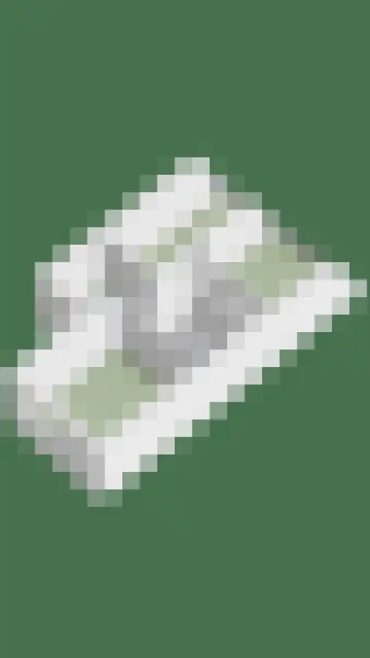 de Ververt 1105 Wijchen thumbnail 41