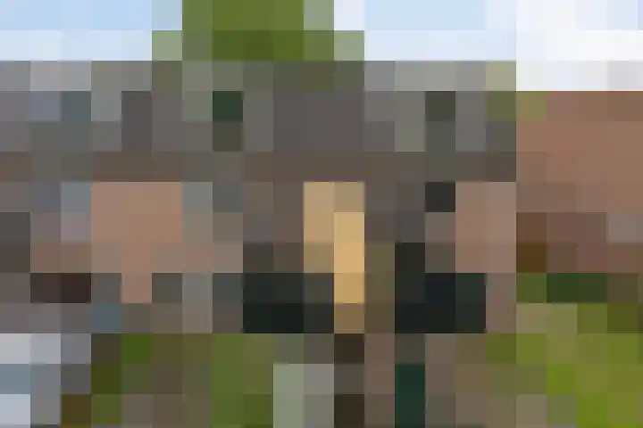 de Ververt 1208 Wijchen thumbnail 18