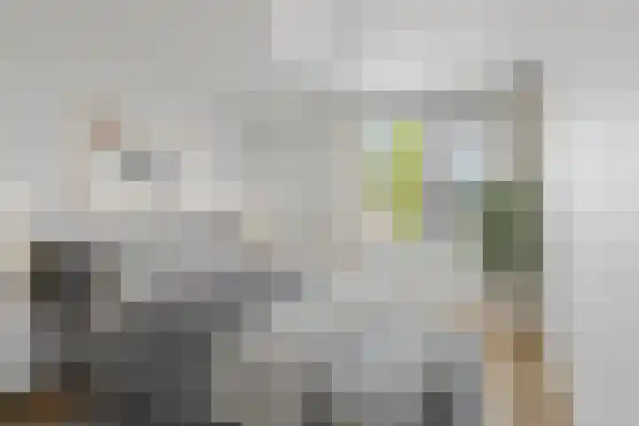 de Ververt 1226 Wijchen thumbnail 18