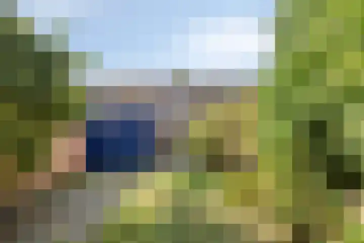 de Ververt 1226 Wijchen thumbnail 31