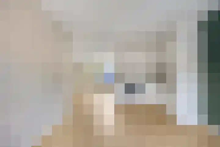 de Ververt 1226 Wijchen thumbnail 6