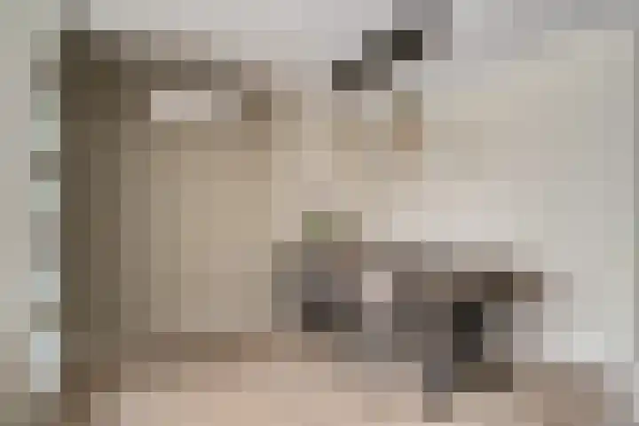 de Ververt 1241 Wijchen thumbnail 10