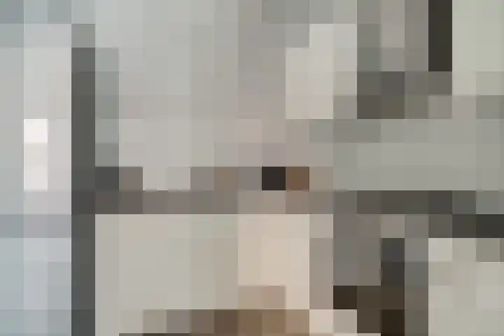 de Ververt 1241 Wijchen thumbnail 12