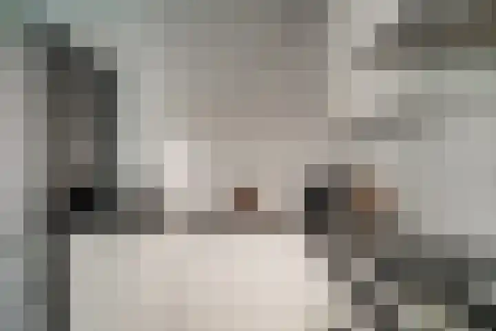 de Ververt 1241 Wijchen thumbnail 13