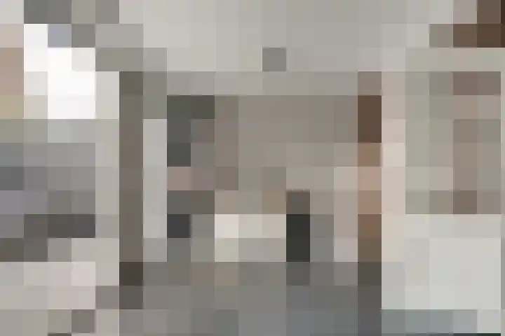de Ververt 1241 Wijchen thumbnail 15