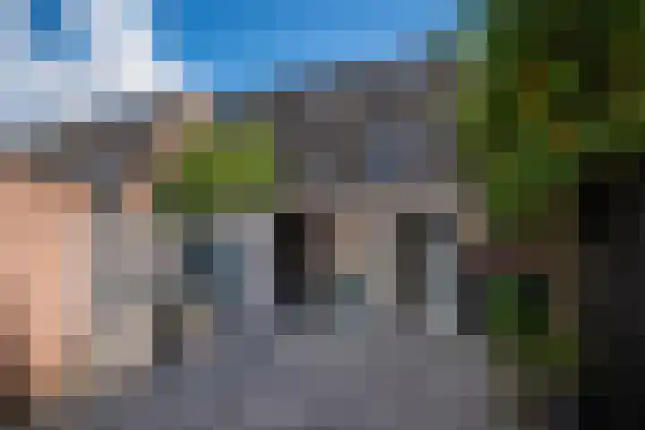 de Ververt 1241 Wijchen thumbnail 20