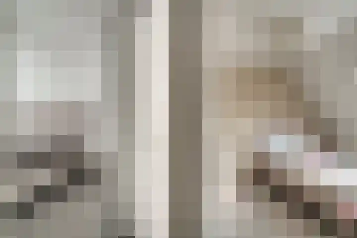 de Ververt 1241 Wijchen thumbnail 24