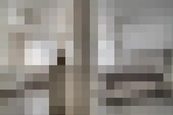 de Ververt 1241 Wijchen thumbnail 25