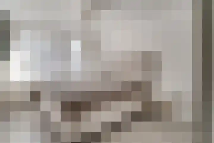 de Ververt 1241 Wijchen thumbnail 26