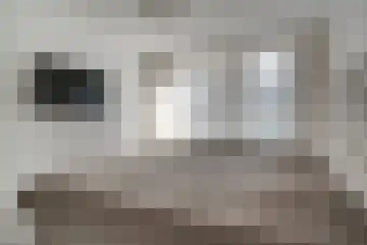 de Ververt 1241 Wijchen thumbnail 27
