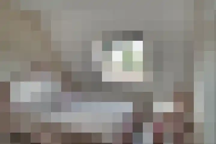 de Ververt 1241 Wijchen thumbnail 29